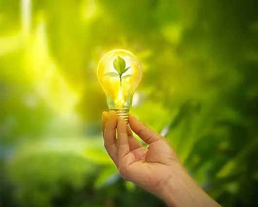 Environmental protection