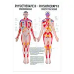 Product image: Mini-Poster - massage of the connective tissue - L x W 34x24 cm