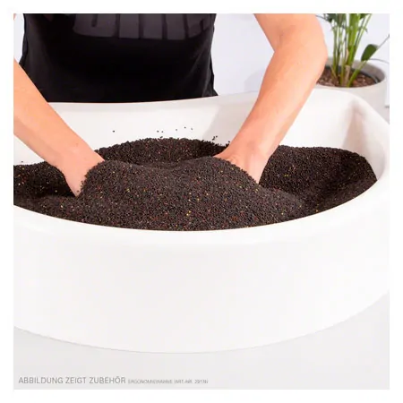 Thera Seeds Sensorik rapeseed, cleaned, 3 kg in a bucket