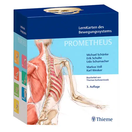 PROMETHEUS Anatomy Flashcards about musculoskeletal system, 400 cards