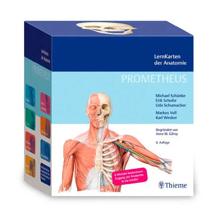 PROMETHEUS Anatomy flashcards, 483cards