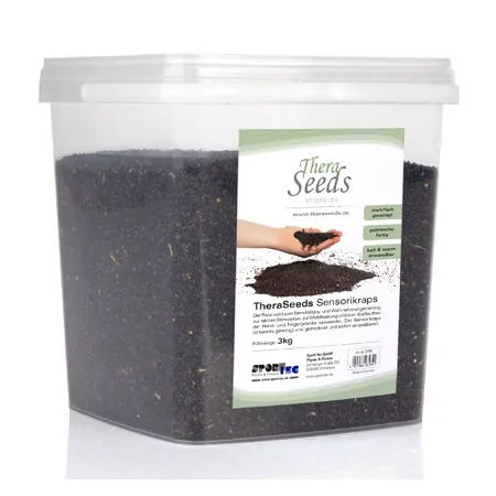 Thera Seeds Sensorik rapeseed, cleaned, 3 kg in a bucket